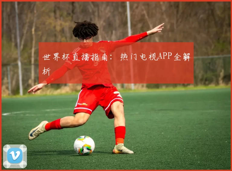世界杯直播指南：热门电视APP全解析