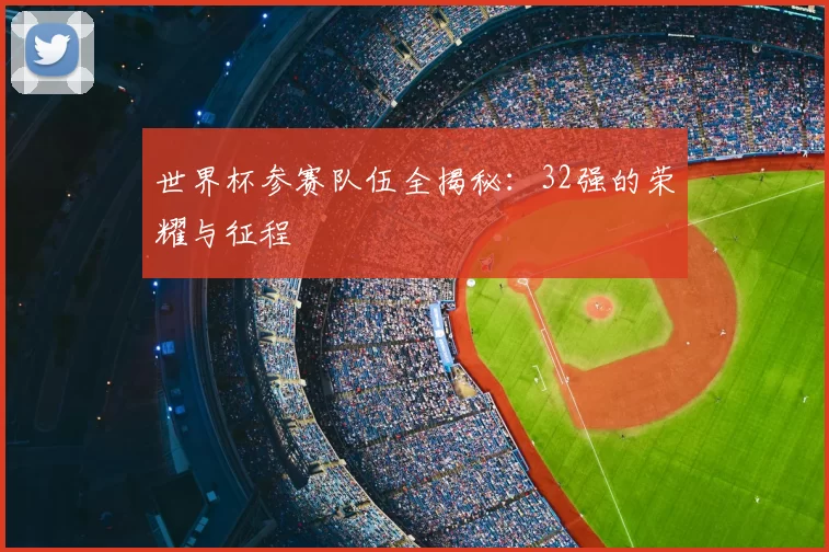 世界杯参赛队伍全揭秘：32强的荣耀与征程