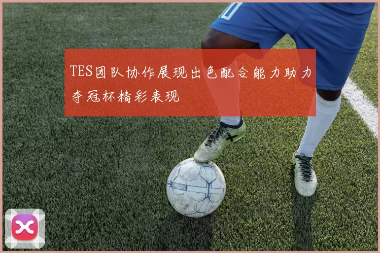 TES团队协作展现出色配合能力助力夺冠杯精彩表现
