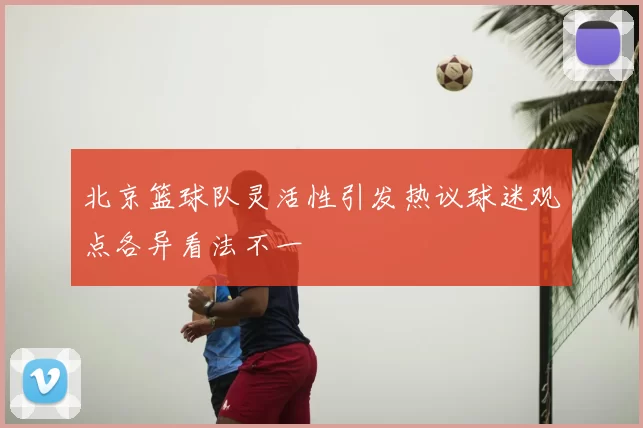 北京篮球队灵活性引发热议球迷观点各异看法不一