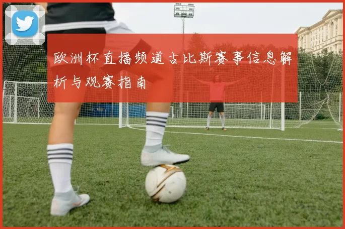 欧洲杯直播频道古比斯赛事信息解析与观赛指南