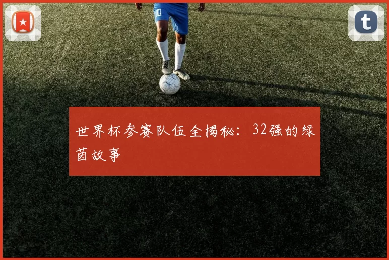 世界杯参赛队伍全揭秘：32强的绿茵故事