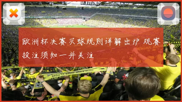 欧洲杯决赛买球规则详解出炉 观赛投注须知一并关注