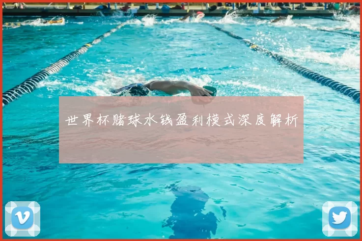 世界杯赌球水钱盈利模式深度解析